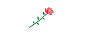 ROSE SULZFELD